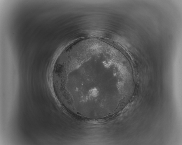 X0000102410241200808081330