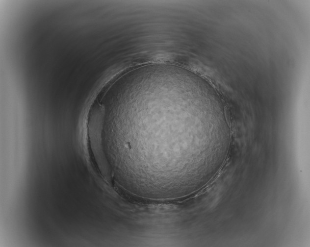 X0000102410242200808081330