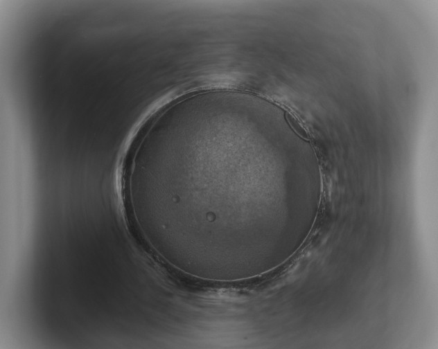 X0000102410244200808081330