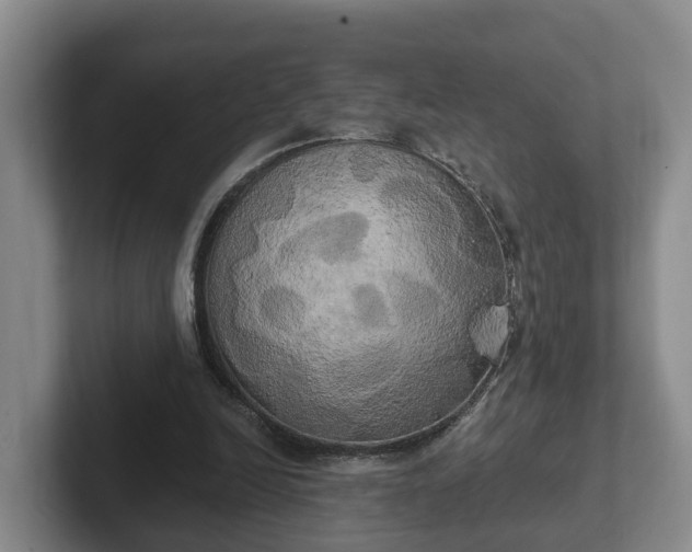 X0000102410246200808081330