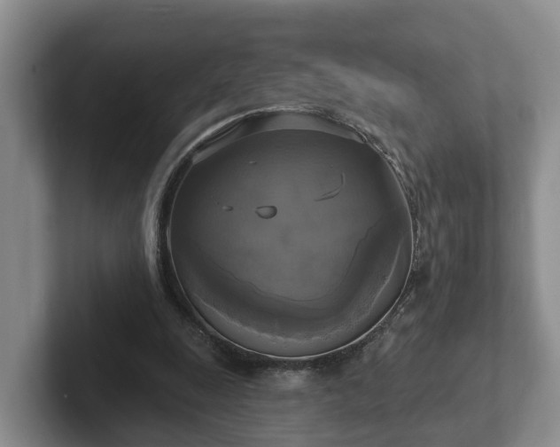 X0000102410247200808081330