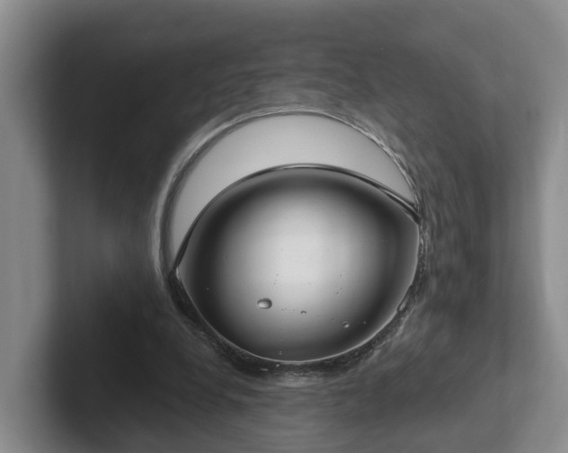 X0000102410248200808081330