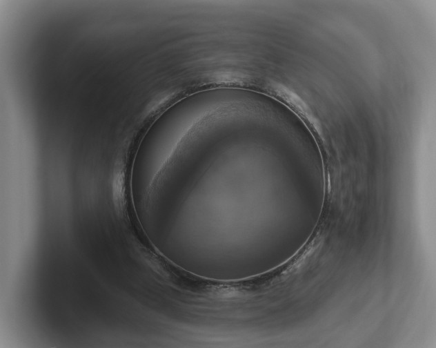 X0000102410249200808081330