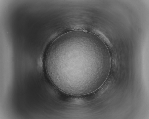 X0000102410250200808081330