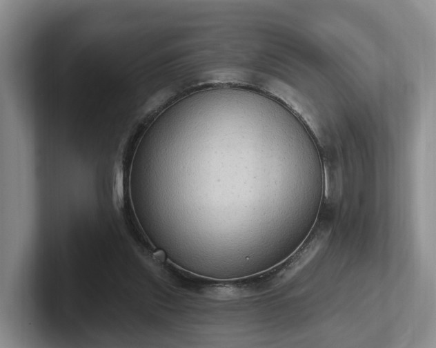 X0000102410253200808081330