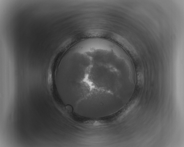 X0000102410254200808081330