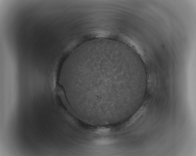 X0000102410257200808081330