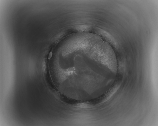 X0000102410259200808081330