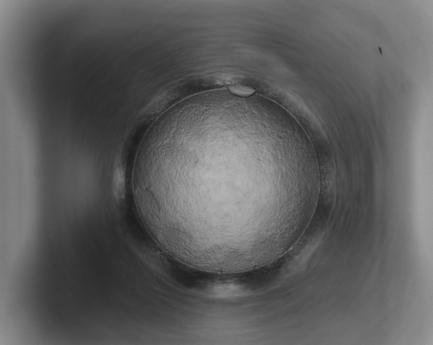 X0000102410262200808081330