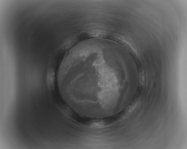 X0000102410263200808081330