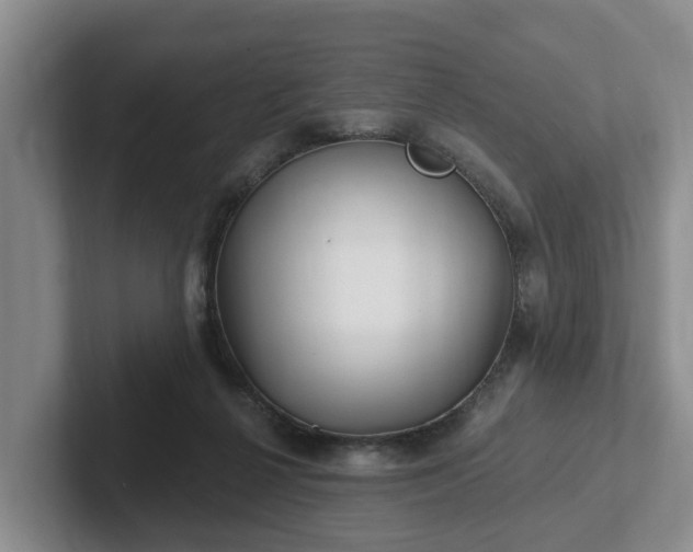 X0000102410264200808081330