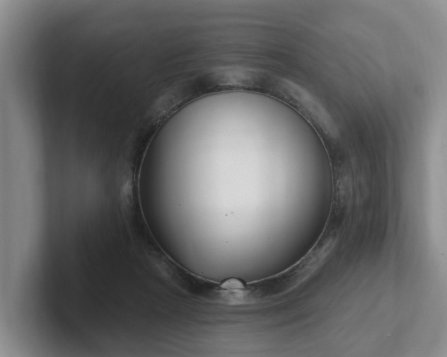 X0000102410265200808081330