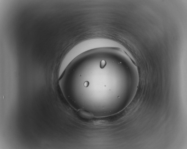 X0000102410268200808081330