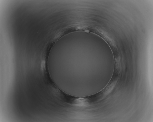 X0000102410269200808081330