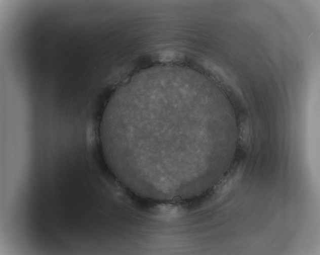 X0000102410272200808081330