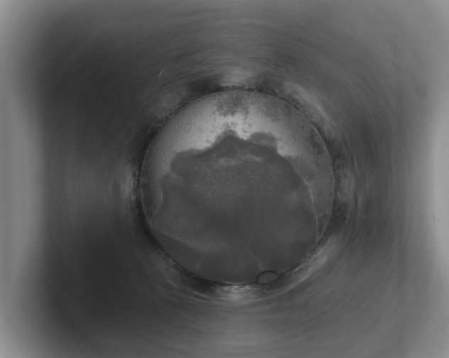 X0000102410273200808081330