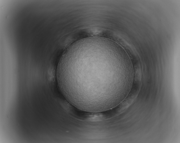 X0000102410274200808081330