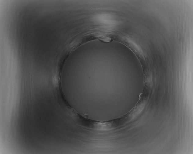 X0000102410277200808081330