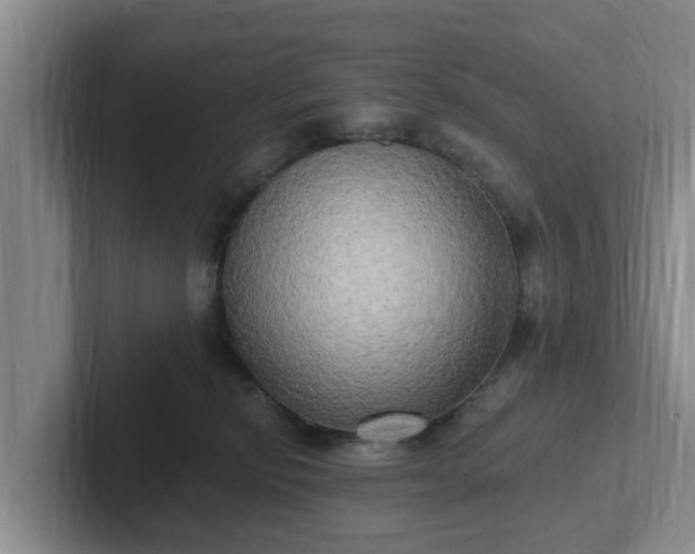 X0000102410278200808081330