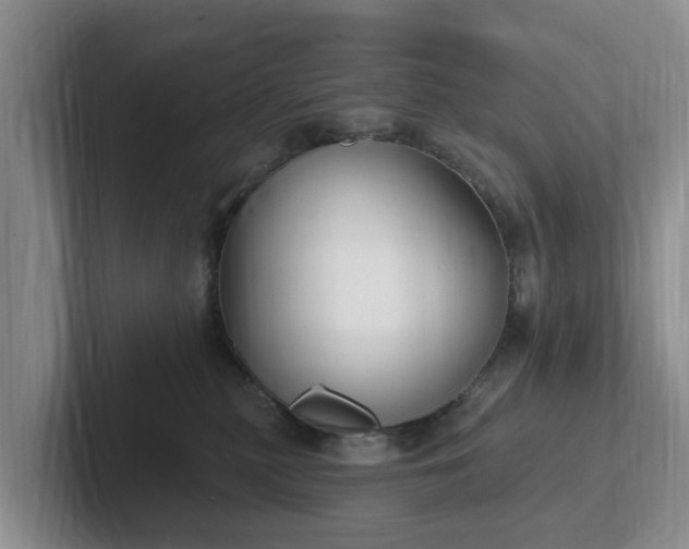 X0000102410279200808081330