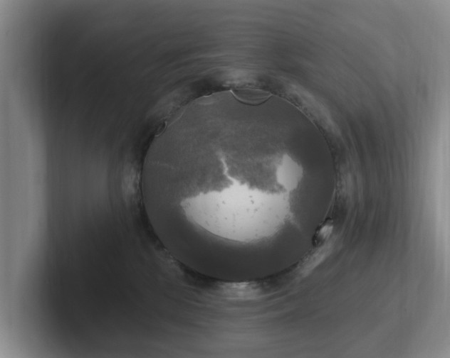 X0000102410281200808081330