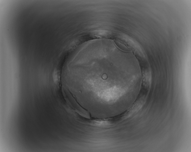 X0000102410284200808081330