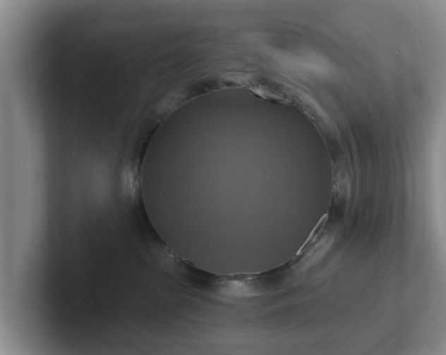 X0000102410285200808081330