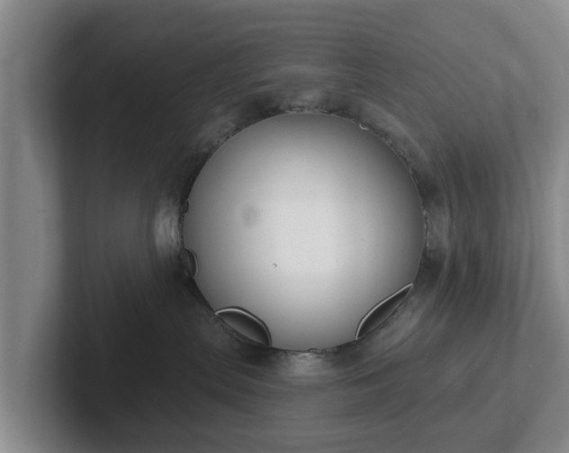 X0000102410287200808081331