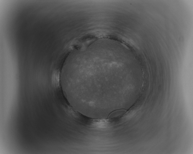 X0000102410288200808081331