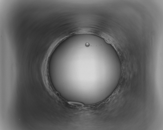 X0000102410289200808081330