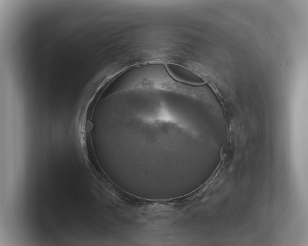 X0000102410290200808081330