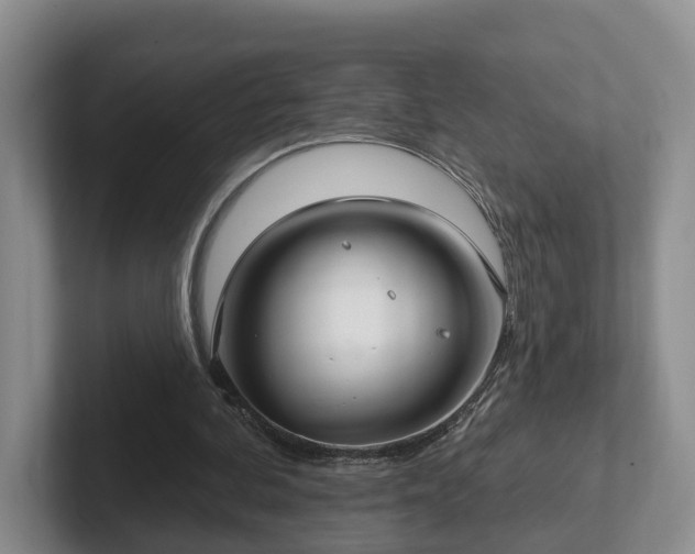 X0000102410292200808081330