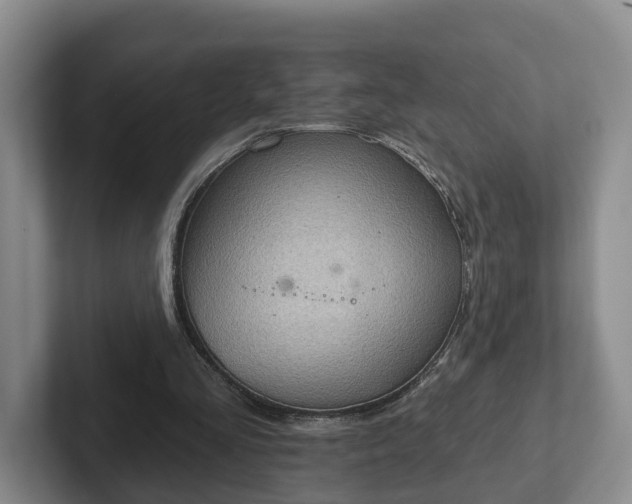 X0000102410293200808081330