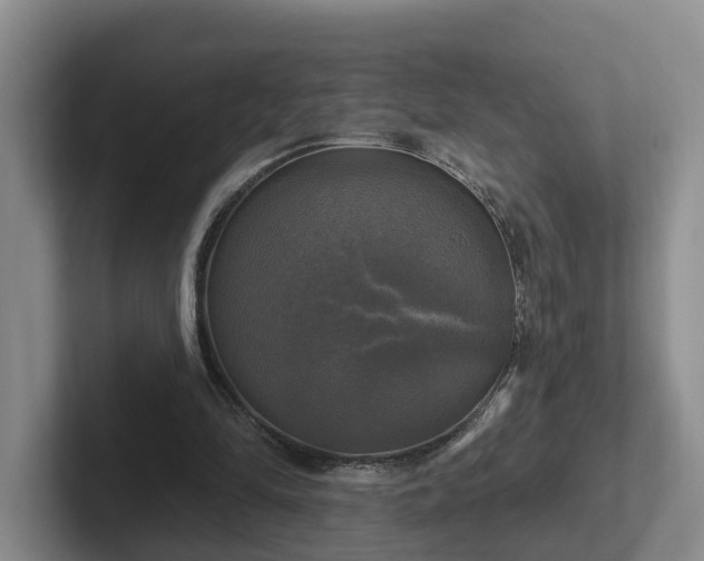 X0000102410294200808081330