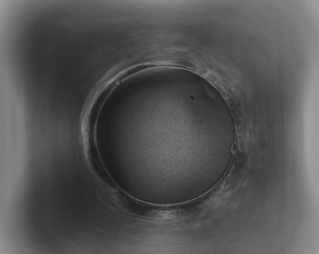 X0000102410295200808081330