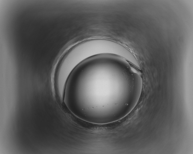 X0000102410296200808081330