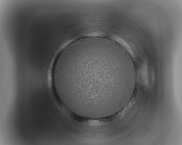 X0000102410298200808081330