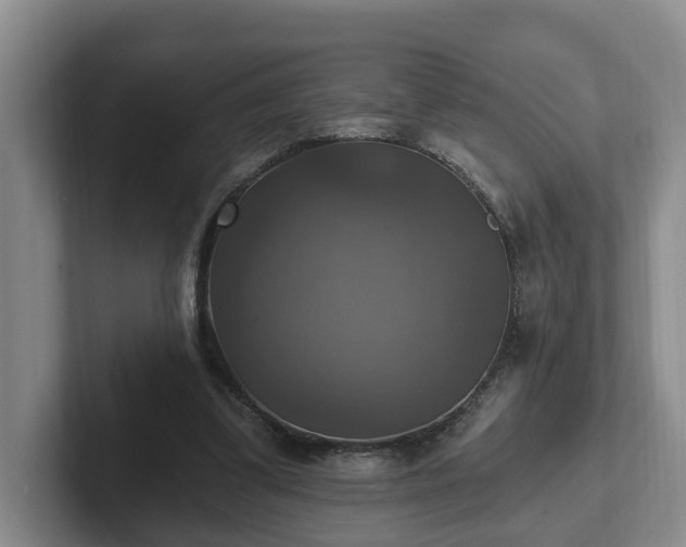 X0000102410299200808081330