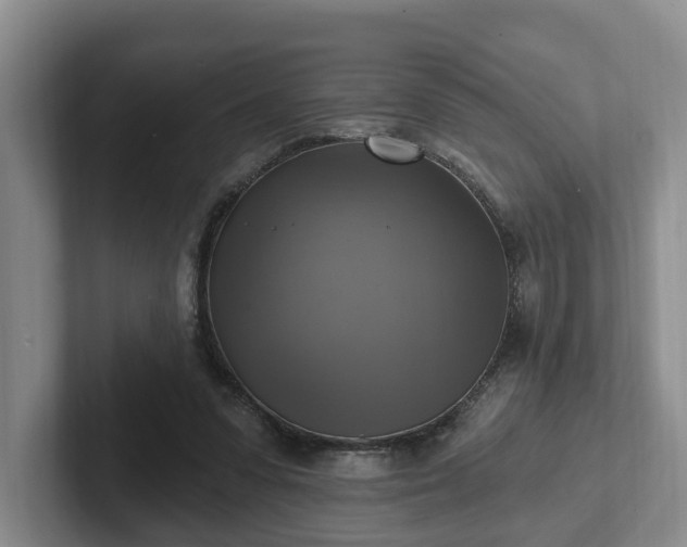 X0000102410303200808081330