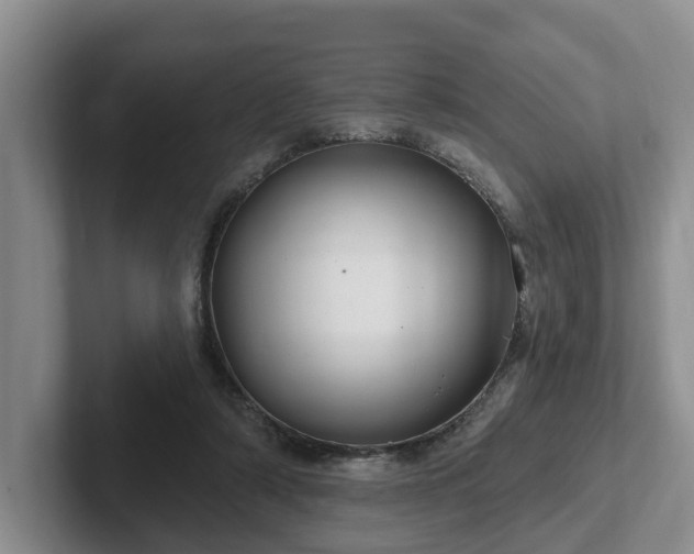 X0000102410306200808081330