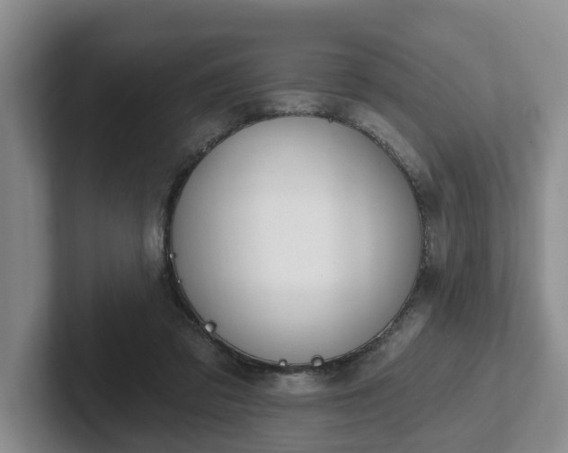 X0000102410309200808081330