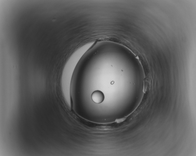 X0000102410316200808081330