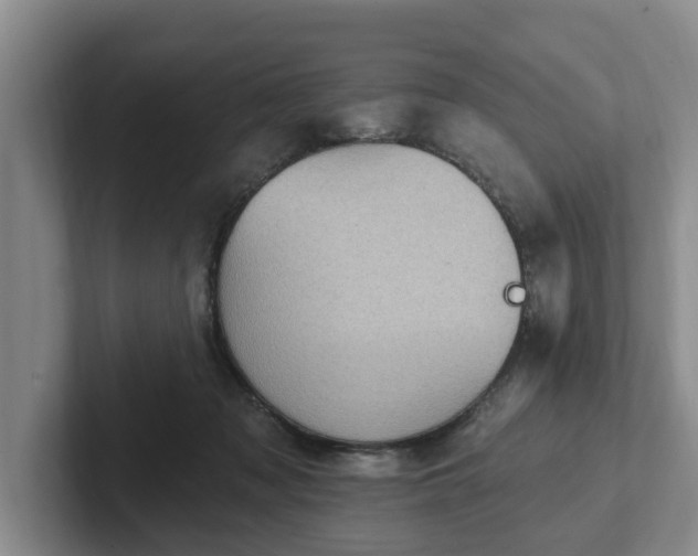 X0000102410317200808081330