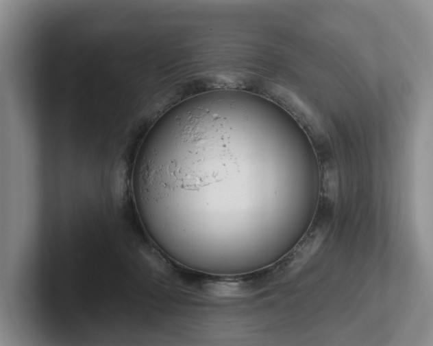 X0000102410318200808081330