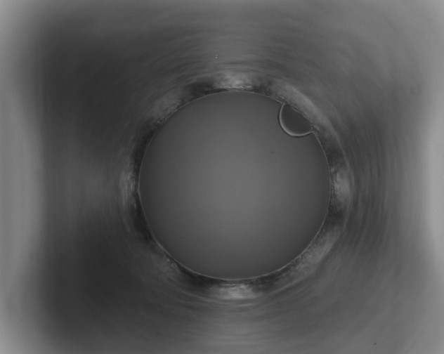 X0000102410322200808081329