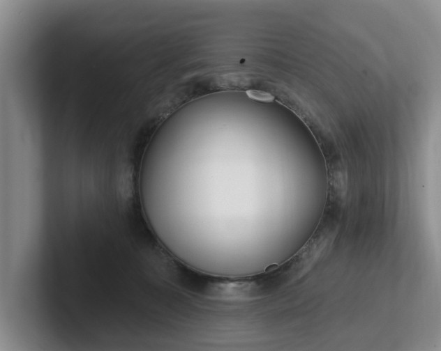 X0000102410323200808081329