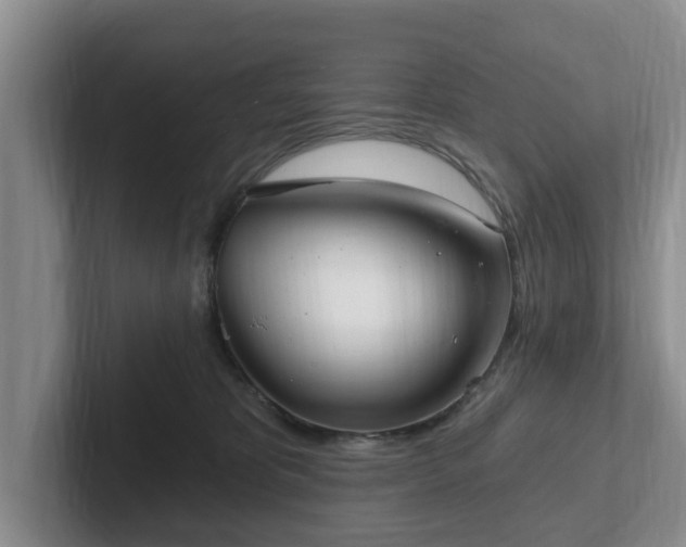 X0000102410325200808081329