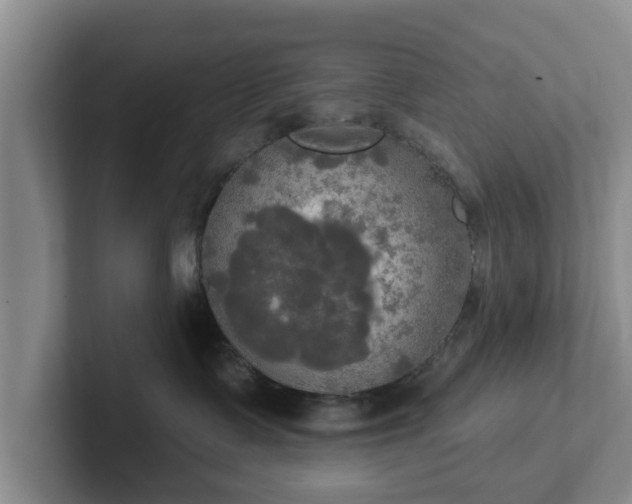 X0000102410335200808081329