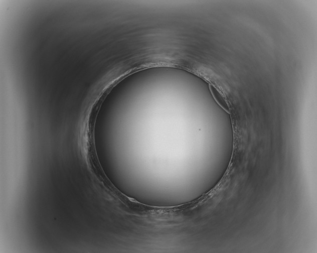 X0000102410338200808081329