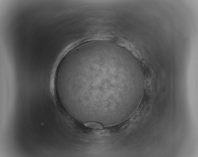 X0000102410340200808081329